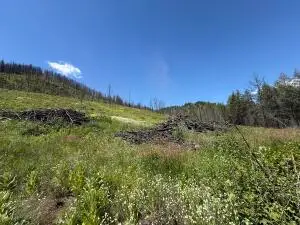 TBD 4th Of July Creek Rd, Danville, WA 99121 - #3