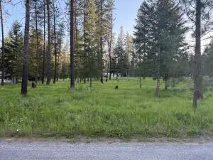 197 E Trappers Loop, Chewelah, WA 99109 - #3