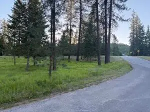 195 E Trappers Loop, Chewelah, WA 99109 - #2