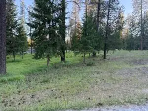 195 E Trappers Loop, Chewelah, WA 99109 - #3