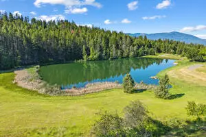 301 N May Rd, Colville, WA 99114 - #2