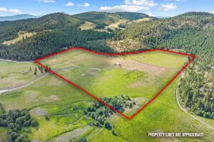 311X Old Baldy Rd, RICE, WA 99167