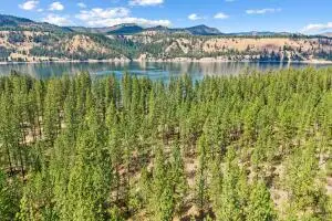 651X Speckled Bird Way, Fruitland, WA 99129 - #1