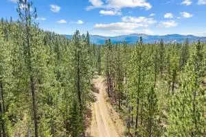 651X Speckled Bird Way, Fruitland, WA 99129 - #3