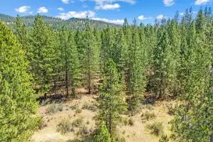 65XX Speckled Bird Way, Fruitland, WA 99129 - #3