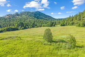 312X Old Baldy Rd, RICE, WA 99167