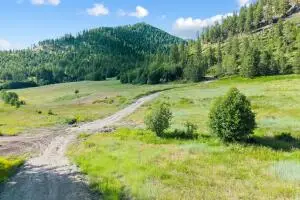 312X Old Baldy Rd, Rice, WA 99167 - #2