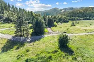 312X Old Baldy Rd, Rice, WA 99167 - #3