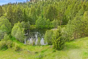 312X Old Baldy Tracts E, I & J Rd, Rice, WA 99167 - #1