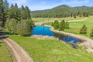 31XX Old Baldy Tracts M, L & K Rd, RICE, WA 99167