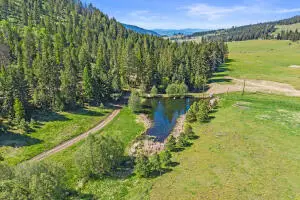 3XXX Old Baldy Tract M Rd, Rice, WA 99167 - #1