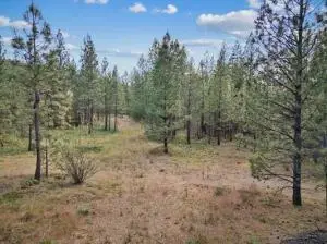 21XXX W South Bank Rd, Nine Mile Falls, WA 99026 - #3