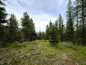 TBD Mule Deer Rd, Republic, WA 99166 - #1