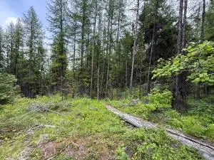 TBD Mule Deer Rd, Republic, WA 99166 - #2