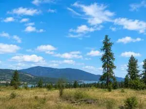 7 Ballard Ave, Kettle Falls, WA 99141 - #2