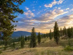 7 Ballard Ave, Kettle Falls, WA 99141 - #3