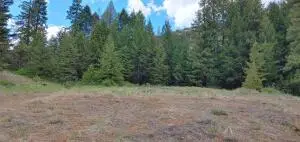 TBD Stacy Rd, REPUBLIC, WA 99166