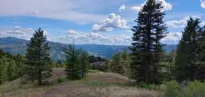 TBD Stacy Rd, Republic, WA 99166 - #2