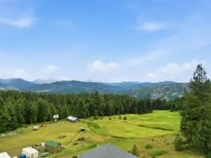 2XX Knob Hill Rd East, Republic, WA 99166 - #1
