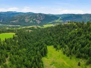 2XX Knob Hill Rd East, Republic, WA 99166 - #2