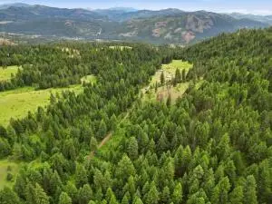 2XX Knob Hill Rd East, Republic, WA 99166 - #3