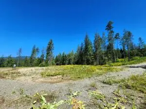 1492 Portrait Way, Colville, WA 99114 - #2
