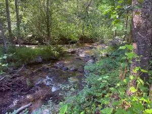 62 Murphy Rd, Kettle Falls, WA 99141 - #1