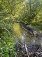 62 Murphy Rd, Kettle Falls, WA 99141 - #2