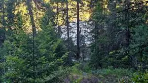 10 Humes Rd, Kettle Falls, WA 99141 - #1
