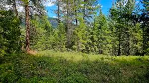 10 Humes Rd, Kettle Falls, WA 99141 - #3