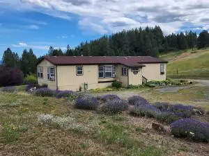 881C Fuhrmans Rd, Kettle Falls, WA 99141 - #3