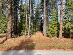 268 Eagle Dr, Chewelah, WA 99109 - #2