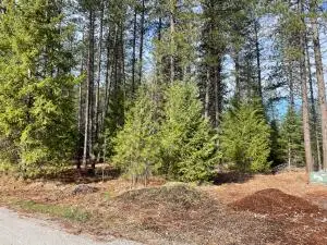 268 Eagle Dr, Chewelah, WA 99109 - #3