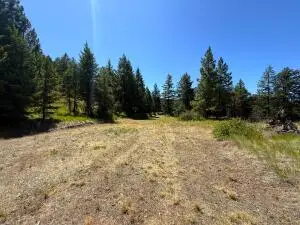 135 Slippery Hill Ln, REPUBLIC, WA 99166