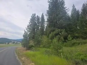 126X Kitt-narcisse Rd, COLVILLE, WA 99114