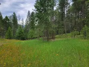 40 Evergreen Dr, CURLEW, WA 99118