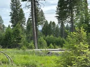 36XX Sheridan Rd, Republic, WA 99166 - #1