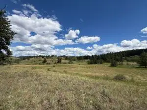 42 Tedesco Rd, REPUBLIC, WA 99166
