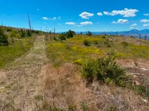 94 Allen Dr, Oroville, WA 98844 - #3