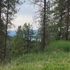 12XX Old Kettle Rd, Kettle Falls, WA 99141 - #3