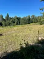 3XX LOT 13 N Leclerc Rd, IONE, WA 99139