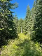 3XX LOT 14 N Leclerc Rd, IONE, WA 99139