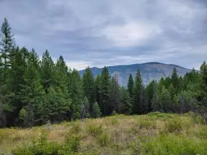 TBD Dragon's Lair Ln, CURLEW, WA 99118