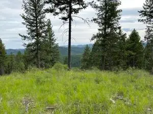 36XX Sheridan Rd, Republic, WA 99166 - #1
