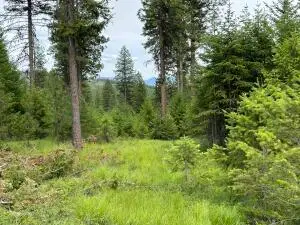 36XX Sheridan Rd, Republic, WA 99166 - #2