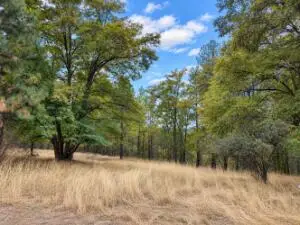 NKA Ponderosa Way, Kettle Falls, WA 99141 - #1
