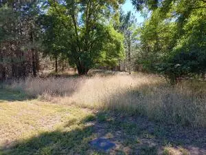 NKA Ponderosa Way, Kettle Falls, WA 99141 - #2