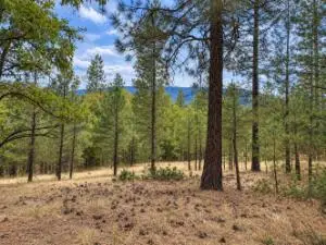 NKA Ponderosa Way, Kettle Falls, WA 99141 - #3