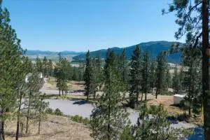 711 Palmer Ln, Chewelah, WA 99109 - #1