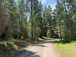 18XX Dry Creek Rd, Chewelah, WA 99109 - #1